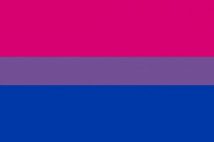 banderas sexuales bandera bisexual egolala eroteca valencia